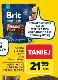 Carrefour Karma dla psa jagnięcina z ryżem Brit Premium By Nature oferta