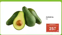 Dino Awokado luz oferta