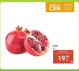 Dino Granat luz oferta