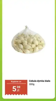 Dino Cebula dymka biała oferta