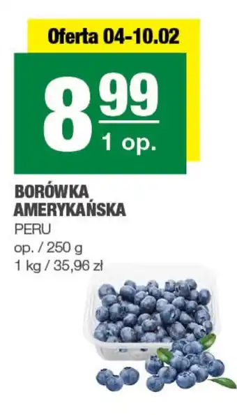 EuroSPAR Borówka amerykańska oferta