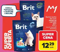 Carrefour Karma dla kota Brit oferta