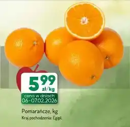 Avita Nuggetsy z piersi kurczaka Drosed oferta