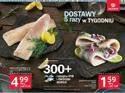 Selgros Filet śledź a'la Matias Extra oferta