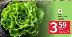 Selgros Sałata masłowa oferta