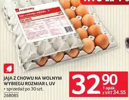 Selgros Jaja z chowu na wolnym wybiegu rozmiar L UV oferta