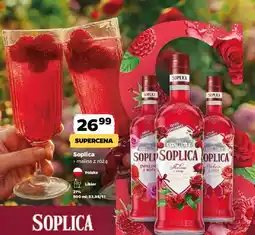 Netto Soplica malina z różą oferta