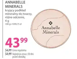 Hebe Podkład do twarzy Annabelle Minerals oferta