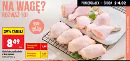 Biedronka Udo lub podudzie z kurczaka oferta