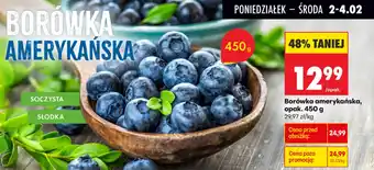 Borówka amerykańska