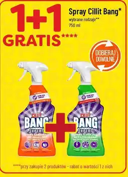 Polomarket Spray Cillit Bang 750 ml (różne rodzaje) oferta