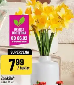 Polomarket Żonkile oferta