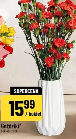 Polomarket Goździki oferta