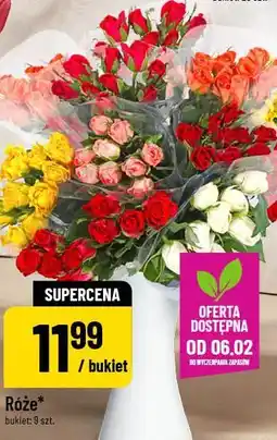 Polomarket Róże oferta