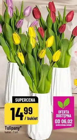 Polomarket Tulipany oferta