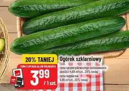 Polomarket Ogórek szklarniowy oferta
