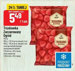 Polomarket Truskawka Zaczarowany Ogród oferta
