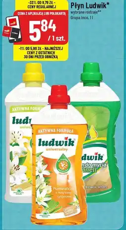 Polomarket Płyn Ludwik (wybrane rodzaje, 1l) oferta