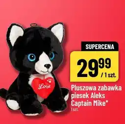 Polomarket Pluszowa zabawka piesek Aleks Captain Mike oferta