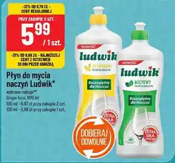 Polomarket Płyn do mycia naczyń Ludwik oferta