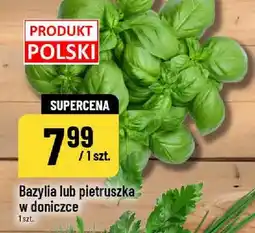 Polomarket Gazetka, strona 0 oferta