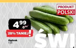 Netto Ogórek 1 szt oferta