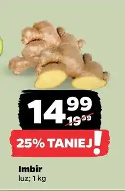 Netto Imbir oferta