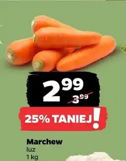 Netto Marchew oferta