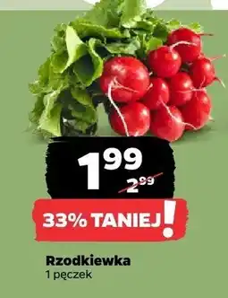 Netto Rzodkiewka oferta