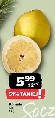 Netto Pomelo oferta