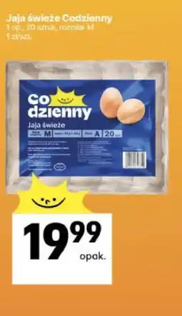 Delikatesy Centrum Jaja świeże Codzienny 20 sztuk rozmiar M oferta