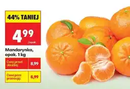 Biedronka Mandarynka opak 1 kg oferta