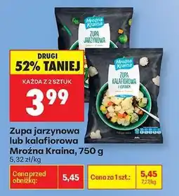 Biedronka Zupa jarzynowa lub kalafiorowa Mroźna Kraina , 750 g oferta