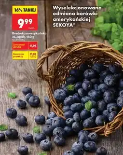 Biedronka Borówka amerykańska XL, opak. 150 g oferta