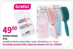 Drogerie Polskie Sister young ovia szczotki do włosów oferta