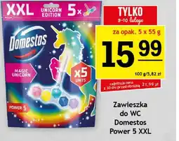 Gram Market Zawieszka do wc Domestos oferta