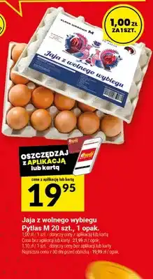 Twój Market Jaja z wolnego wybiegu Pytlas M 20 szt oferta