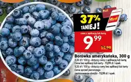 Twój Market Borówka amerykańska oferta