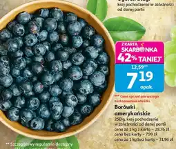 Auchan Borówki amerykańskie oferta