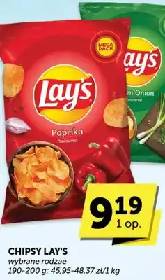 Groszek Piwo Kasztelan oferta