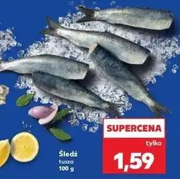 Kaufland Śledź tusza oferta