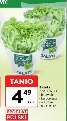 Intermarche Pizza GUSEPPE wybrane rodzaje oferta