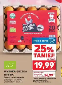 Kaufland Jaja BIO 20 szt oferta
