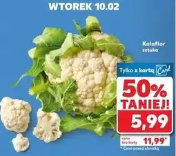Kaufland Kalafior oferta