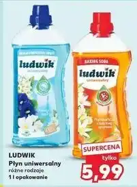 Kaufland Ludwik Płyn uniwersalny różne rodzaje oferta
