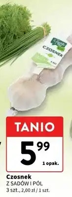 Intermarche Czosnek Z SADÓW I PÓL oferta