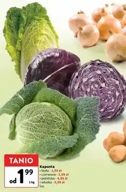 Intermarche Kapusta włoska luz oferta