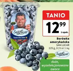 Intermarche Borówka amerykańska SAN LUCAR oferta