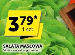 ABC Sałata masłowa oferta