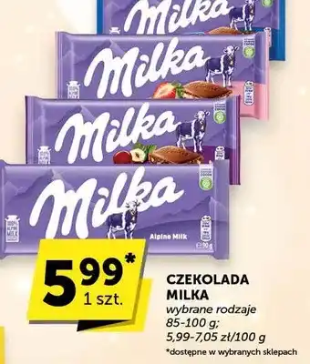 Groszek Czekolada Milka oferta